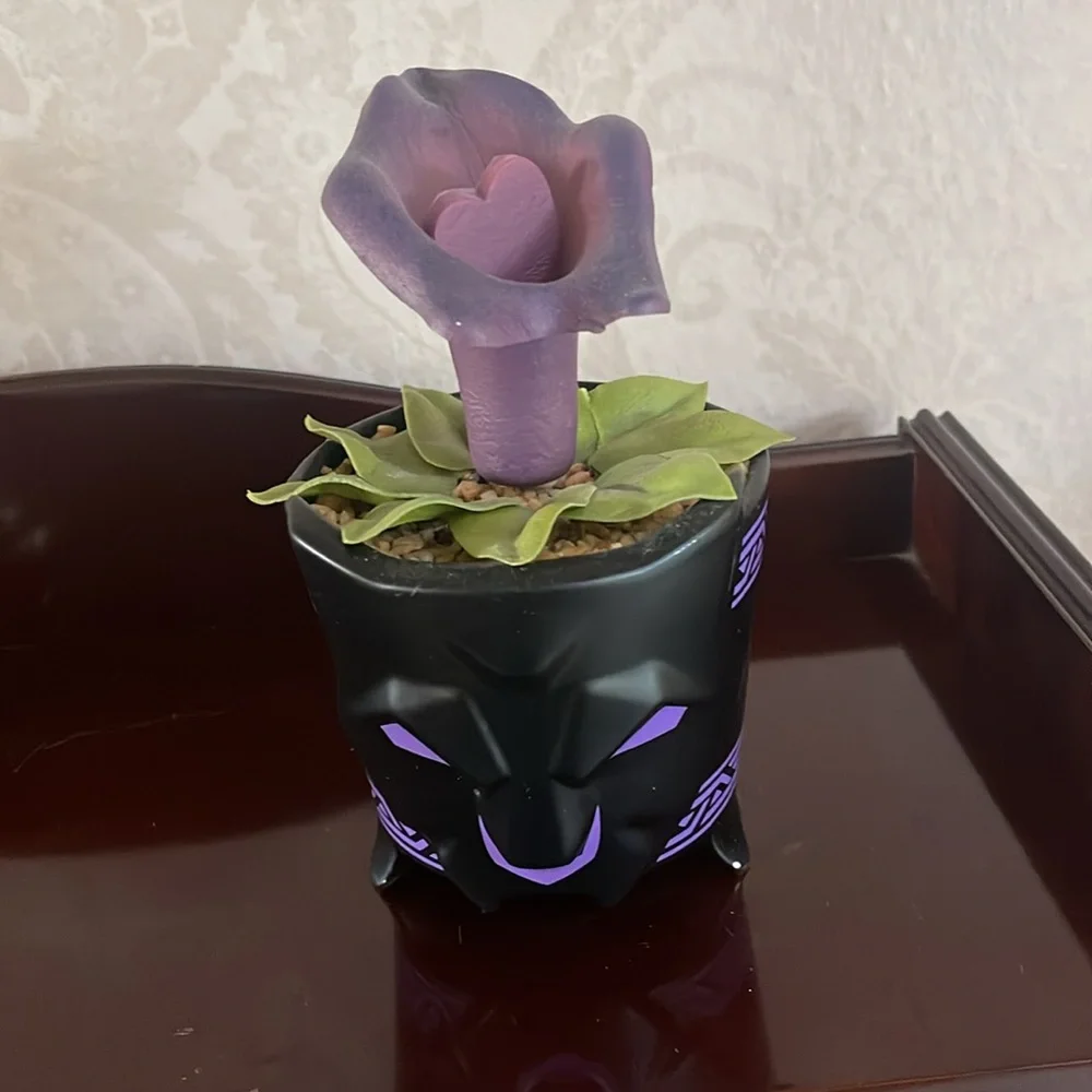 Purple Decorative Flower Pot from Disneyland